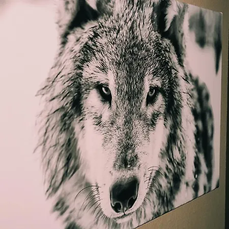 Le Trou 14, Ancienne Ferme Dans La Nature Avec Bain Nordique * Ferrières